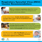 RSV Vaccine Recommendations RSV Vaccine Recommendations