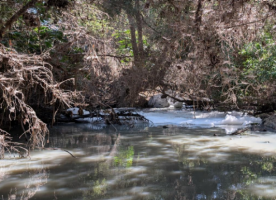 A culvert with minor foam