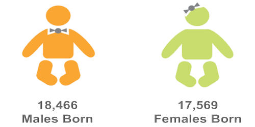 2024 boys and girls breakdown