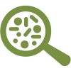 magnifying glass icon