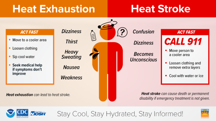 Symptoms of heat exhaustion and heat stroke.