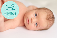 1-2Month.Button 1-2month