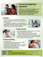 Perinatal Hepatitis B Brochure