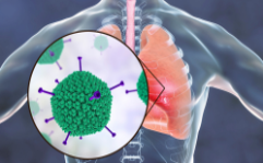 Up close image of a respiratory virus.