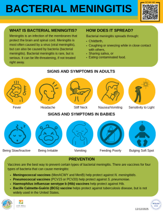 Bacterial Meningitis infographic