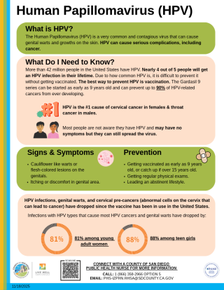 HPV Infographic 