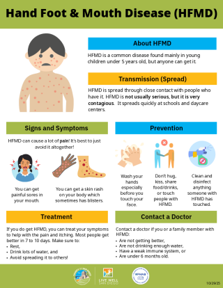 Hand, Foot, and Mouth Disease Infographic