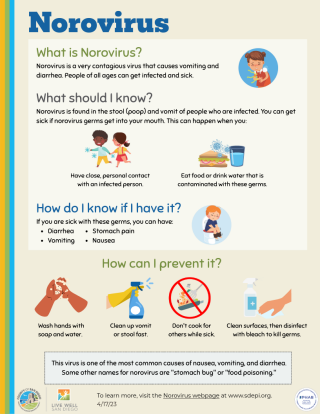Norovirus Infographic
