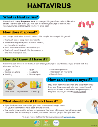 Hantavirus Infographic