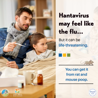 Hantavirus Social Media