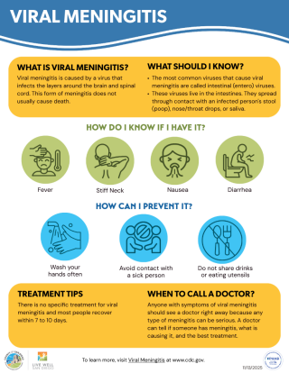 Viral Meningitis Infographic