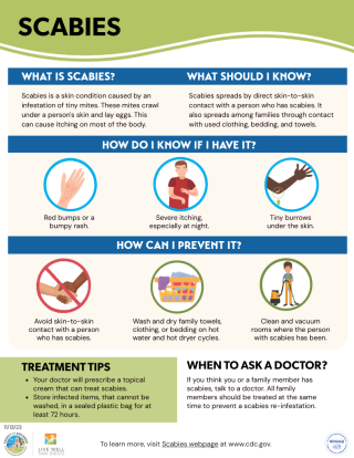 Scabies Infographic