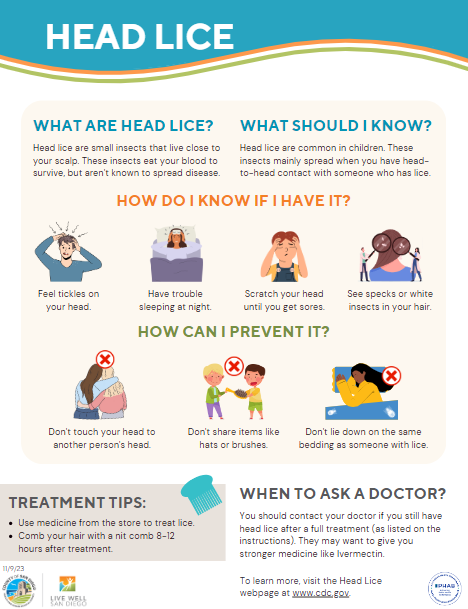 Head Lice Infographic