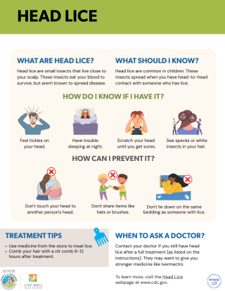 Head Lice Infographic