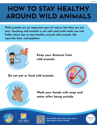 How to stay health around wild animals (elementary school) - infographic