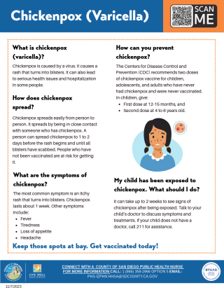 Chickenpox Flyer