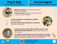 Animal Safety Tips Animal Safety Tips