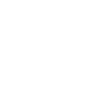 icon of website