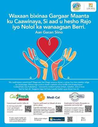 Somali Flyer - Generic