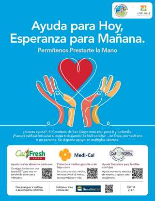 Spanish Flyer - Generic