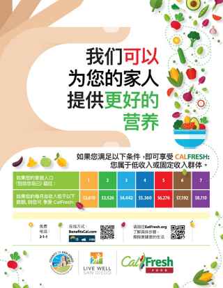 CalFresh Fixed Income Flyer - Chinese