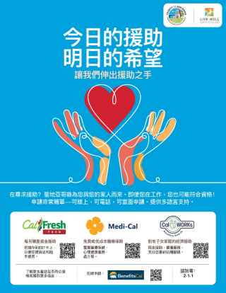 Chinese Flyer - Generic