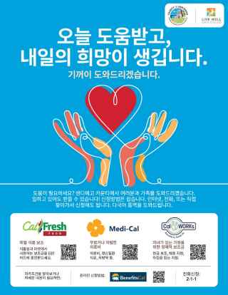 Korean Flyer - Generic