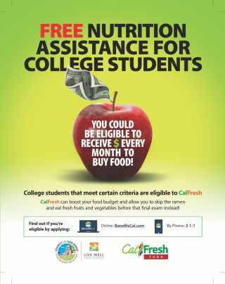 CalFresh Student Flyer - English