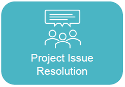 Project Issue Resolution 