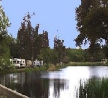 Lake with trees lining the water’s edge