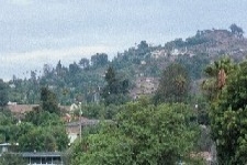 A mountainous area with green trees