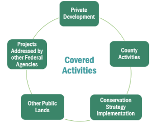 Covered Activities of the workshop