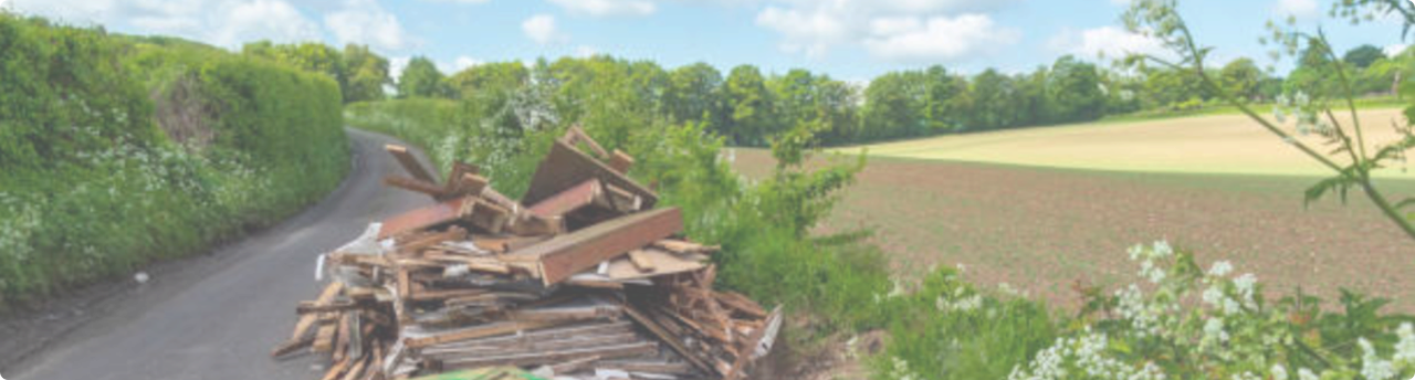 Submit a Code Compliance Complaint Online