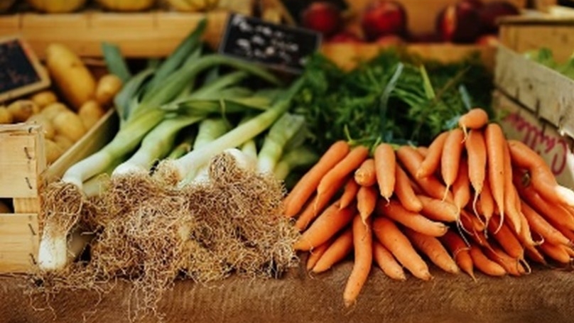 GAP (Good Agricultural Practices) Certification 