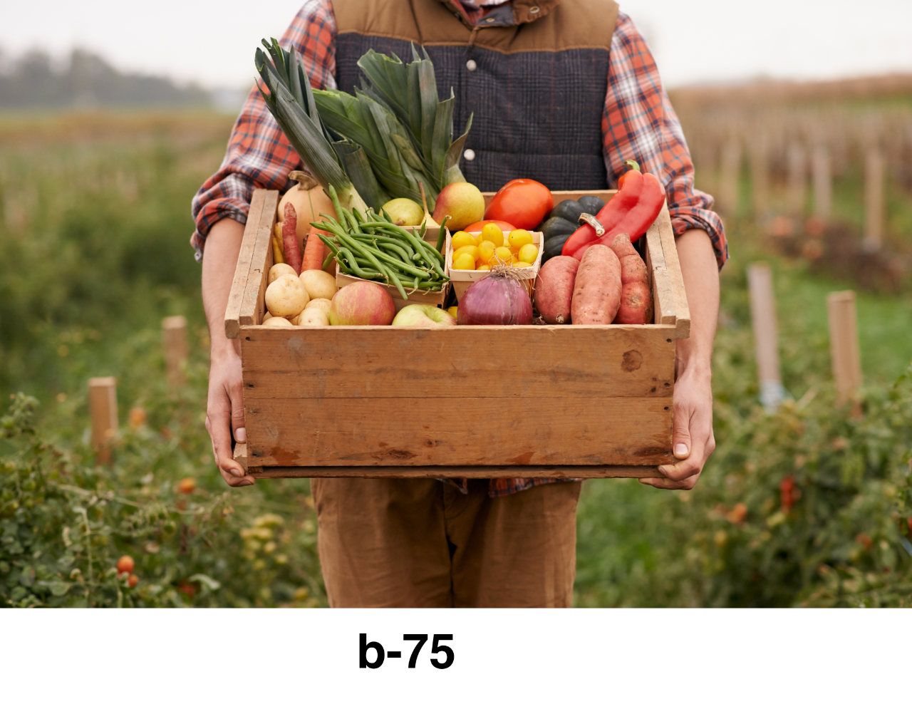 Untitled (11 x 8.5 in) - 1