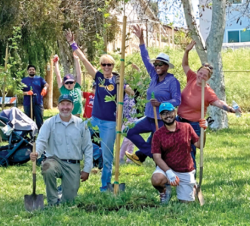 Volunteers with shovels smiling at a community cleanup and tree planting event
