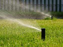 Sprinkler spraying water on green grass.