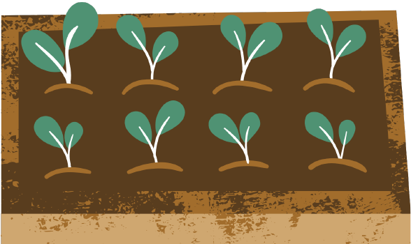 Planting for the Cool Season Workshop