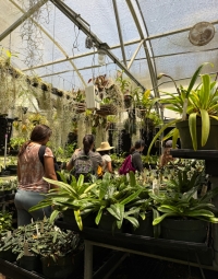 Individuals walking by plants in an indoor garden