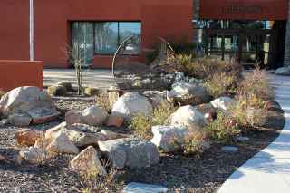 Water-wise landscaping design at the Ramona Community Library