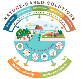 Nature-Based Solutions Figure