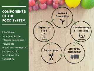 Components of the Food System