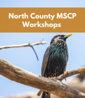 North County MSCP Workshops