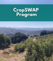 CropSWAP