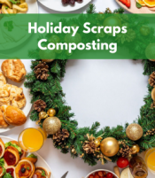 Holiday Scraps Composting