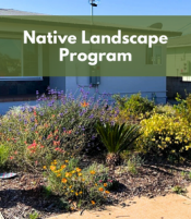 Native Landscape Program Native Landscape Program