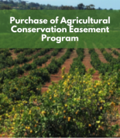 Purchase of Agricultural Conservation Easement (PACE) Program