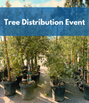 Tree Distribution Event