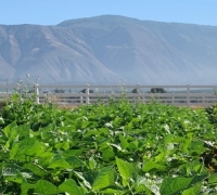 Sustainable Agricultural Lands Conservation 2.0 Project Solidarity farm with mountains in the back