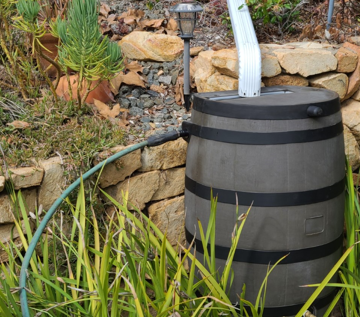 Rainwater Harvesting Workshop